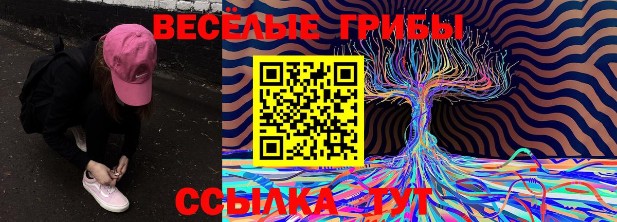 Галлюциногенные грибы Magic Shrooms  Вход с VPN  Псилоцибиновые грибы Magic Shrooms  Коммунар 