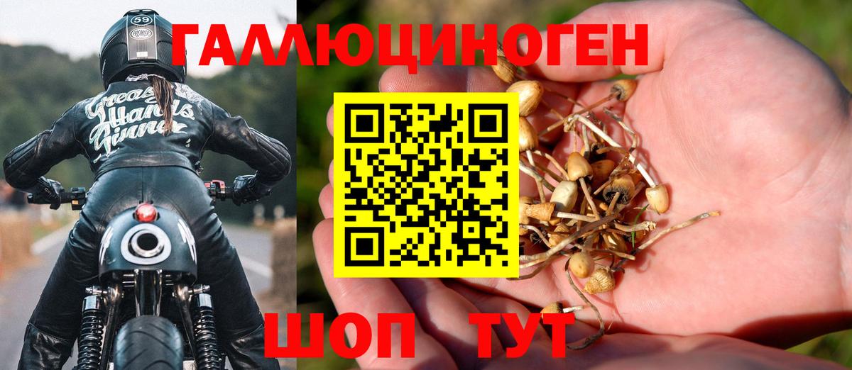 Псилоцибиновые грибы Psilocybe Коммунар